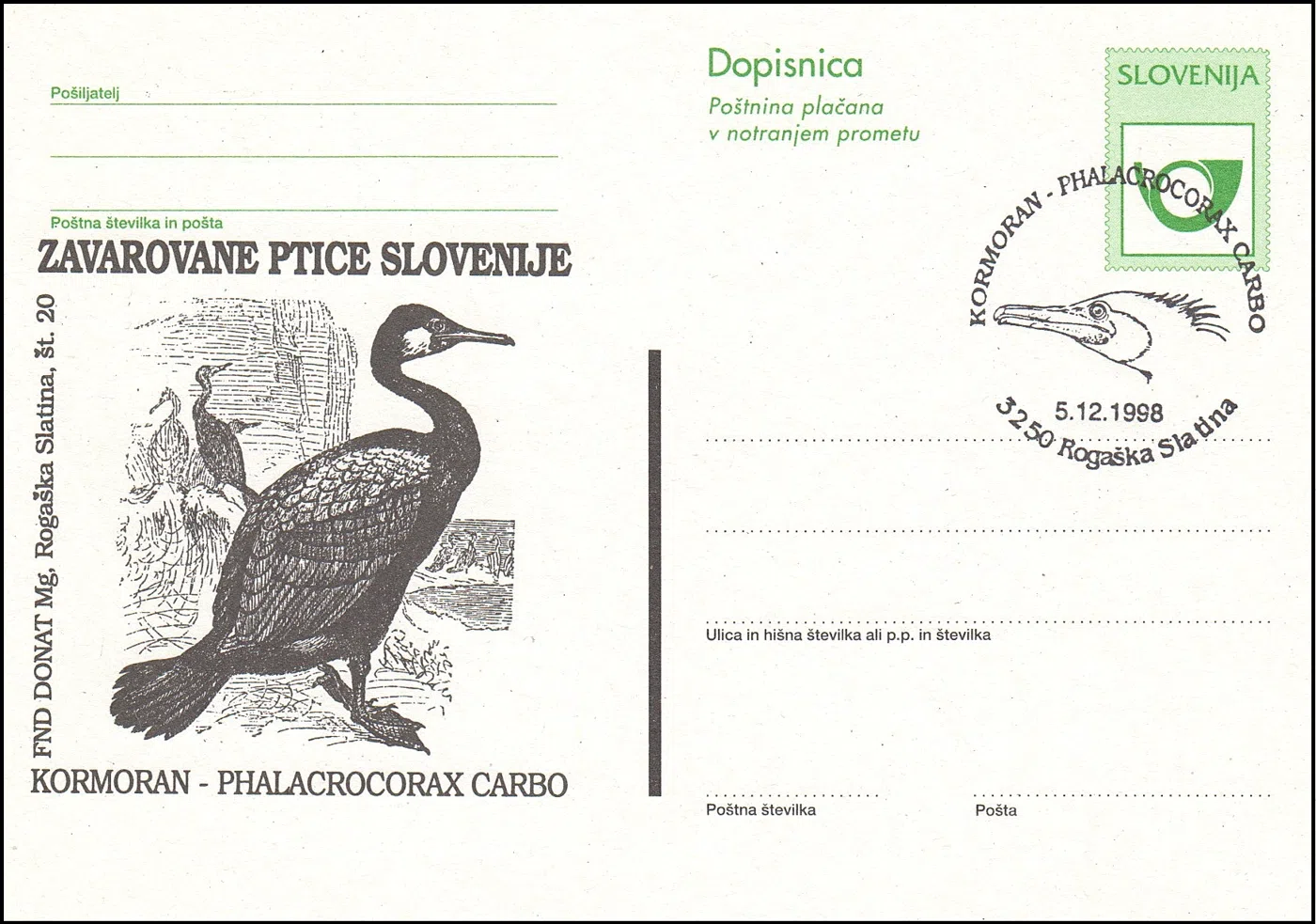 KORMORAN - PHALACROCORAX CARBO